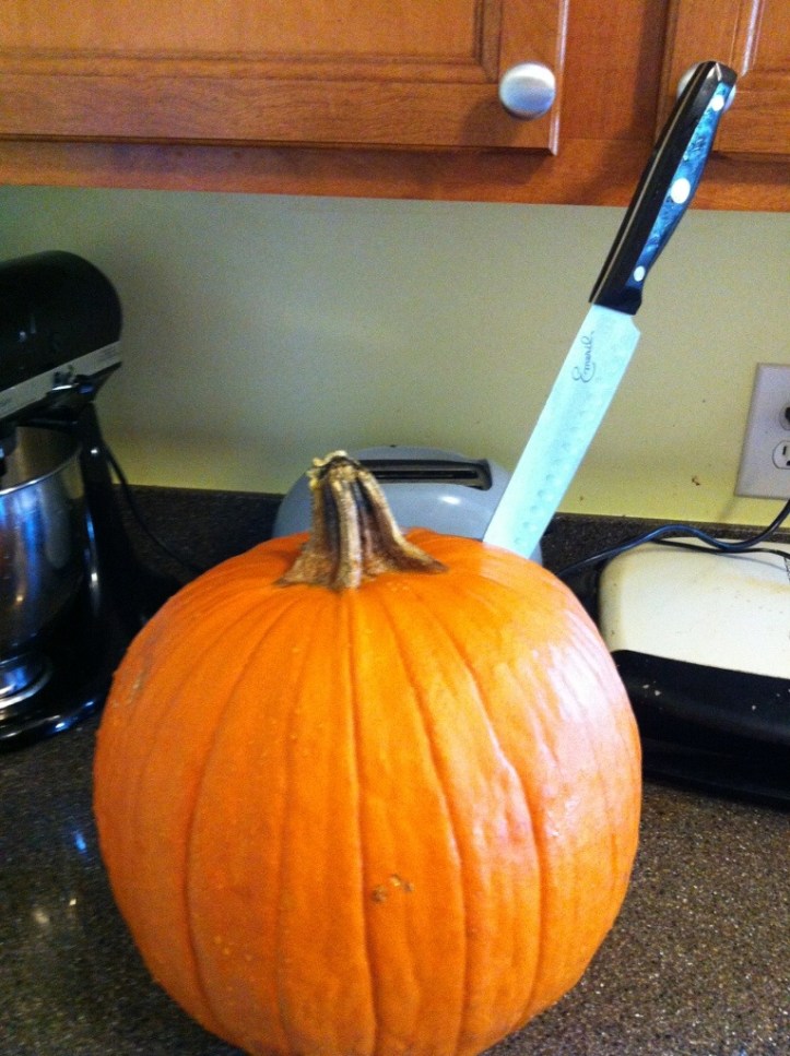 20121111-125725.jpg