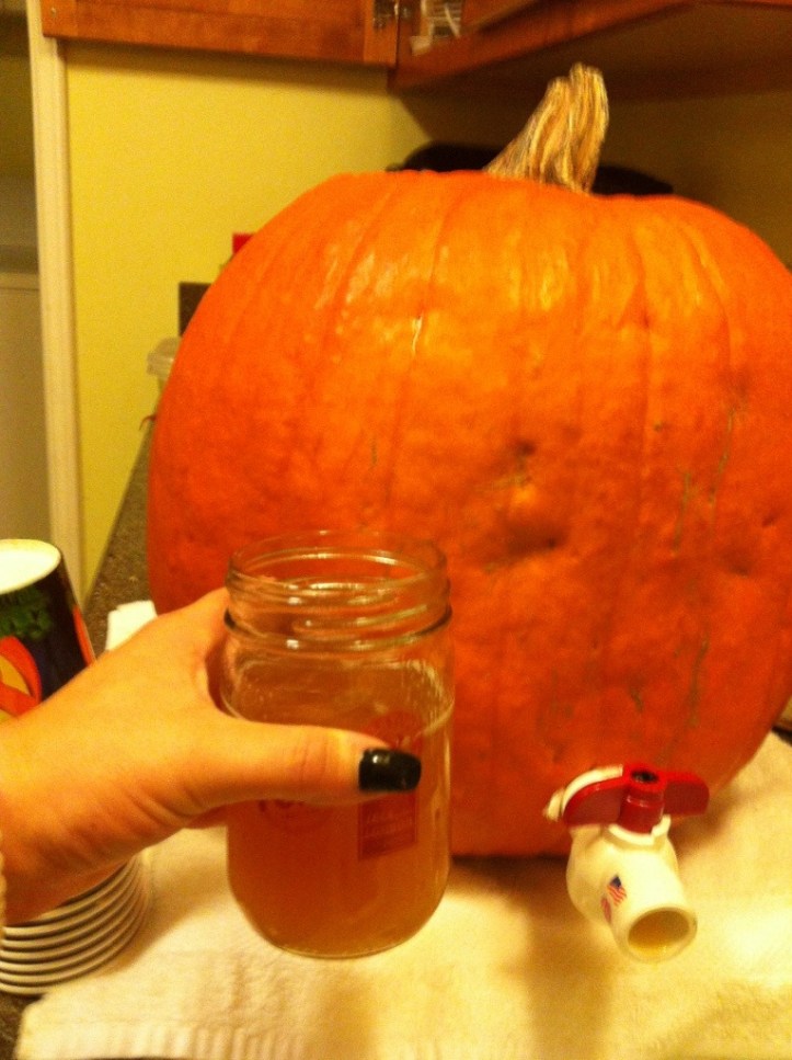 20121111-131243.jpg